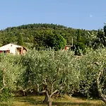 Fringuello - Sofora Prázdninový dům Cortona