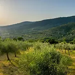 Fringuello - Sofora Cortona