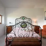 Fringuello - Sofora Cortona