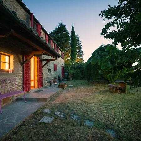 Fringuello - Sofora *