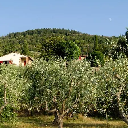 Fringuello - Sofora Holiday home Cortona
