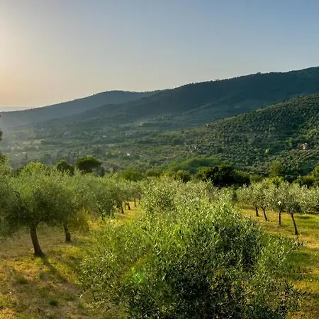 Fringuello - Sofora Cortona