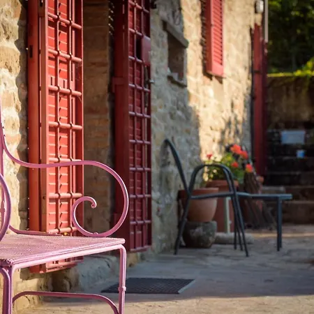 Fringuello - Sofora Cortona