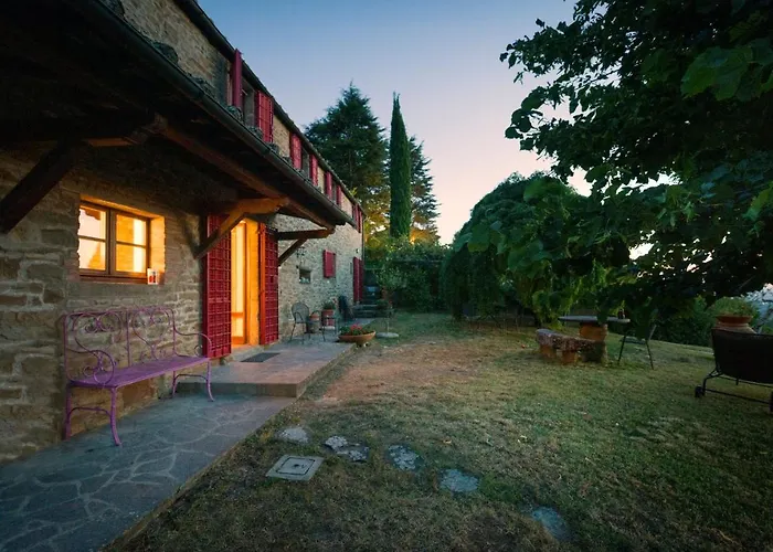 Fringuello - Sofora *