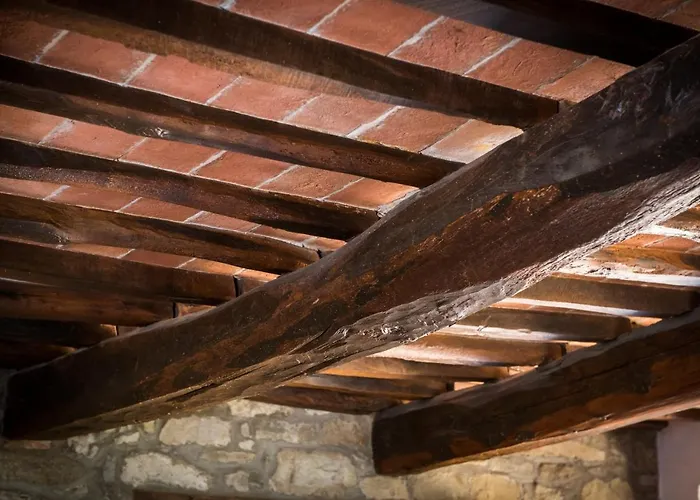 Fringuello - Sofora *