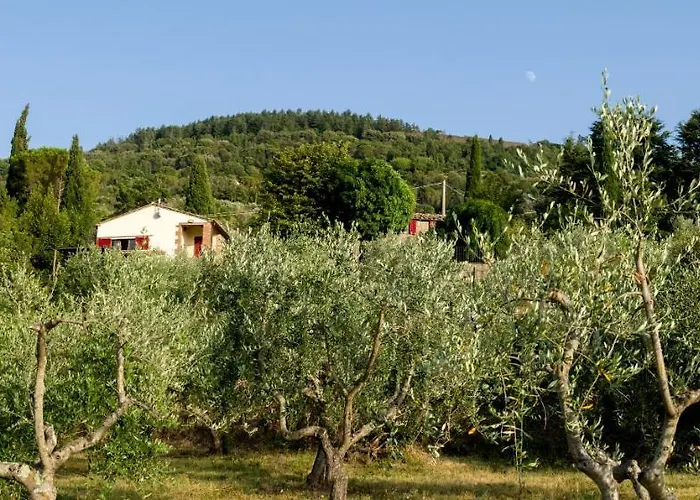 Fringuello - Sofora Holiday home Cortona
