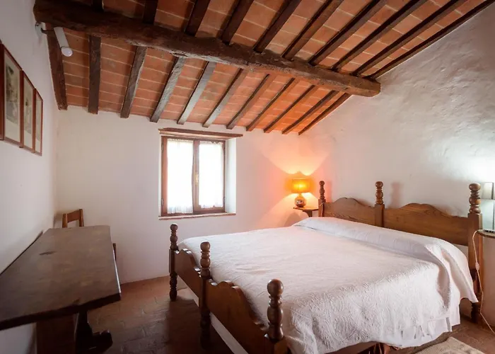 Fringuello - Sofora Cortona