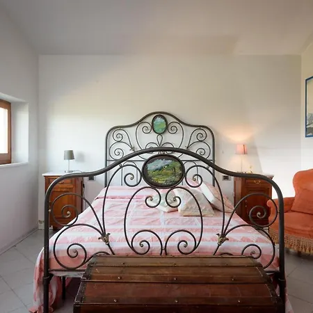 Fringuello - Sofora كورتونا