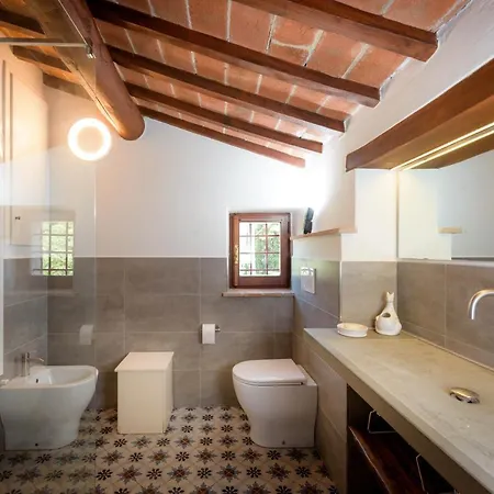 Fringuello - Sofora * كورتونا